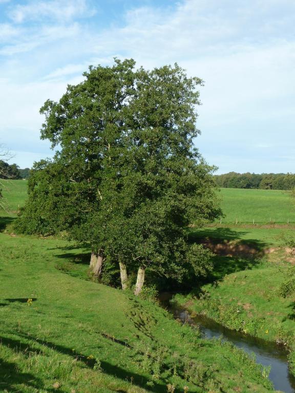 Birtles Farm Bed And Breakfast นัตส์ฟอร์ด ภายนอก รูปภาพ